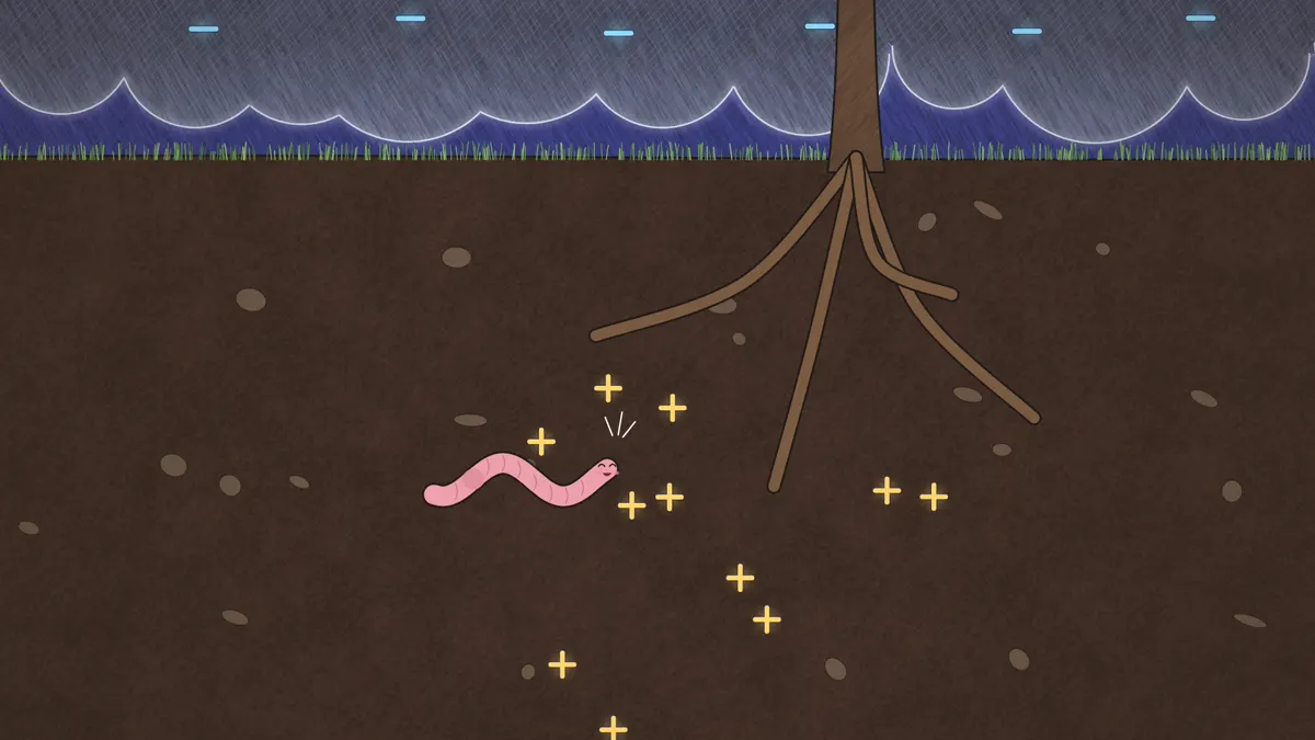 Positive charges rising through soil and tree roots before a lightning strike