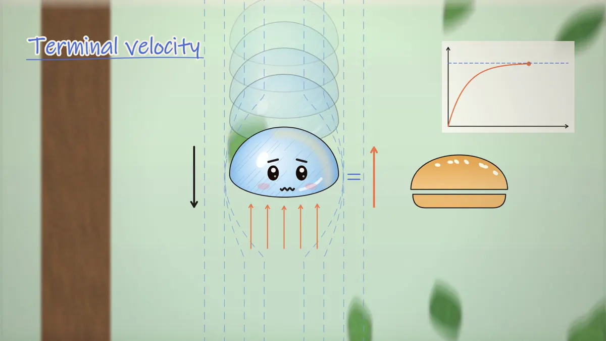 What shape is a raindrop at terminal velocity, flattened like a hamburger bun