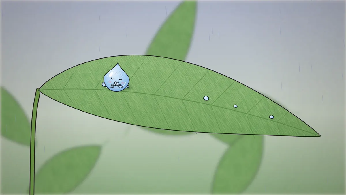 Collection in the water cycle, a raindrop landing on a leaf