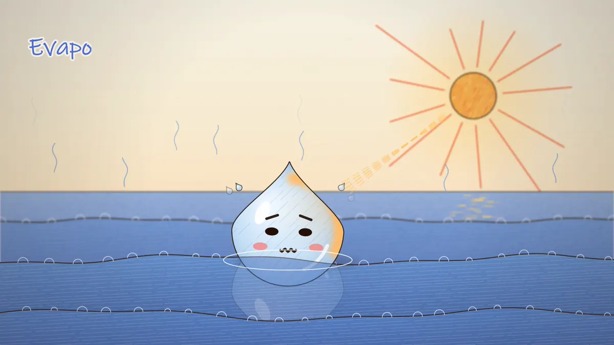 Evaporation in the water cycle, the Sun heating the ocean surface